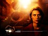 terminator3_04.JPG